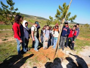 Dia Mundial da Árvore