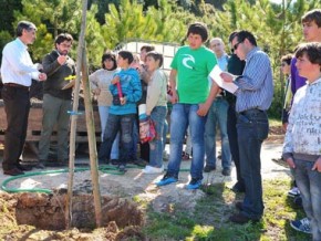 Dia Mundial da Árvore